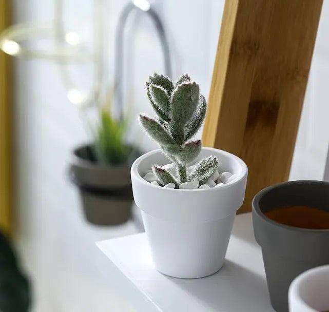 Nordic Flower Pot