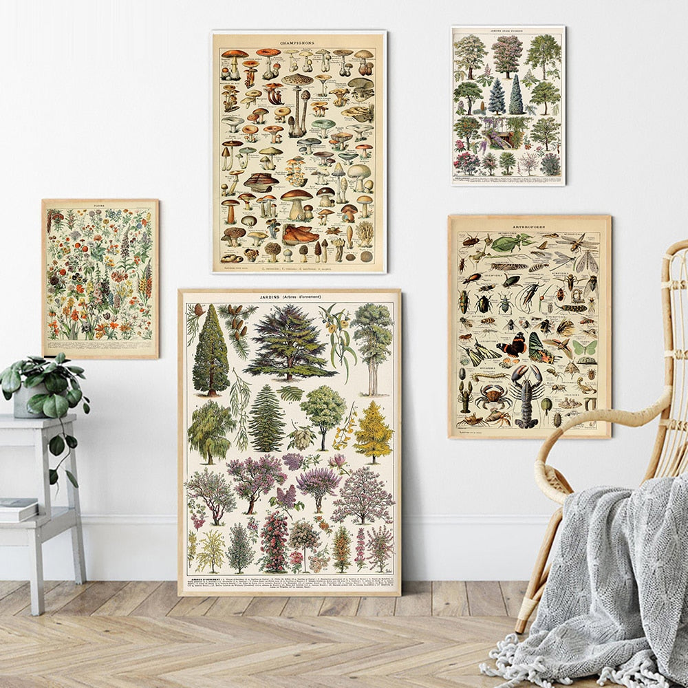 Vintage Botanical Prints Collection