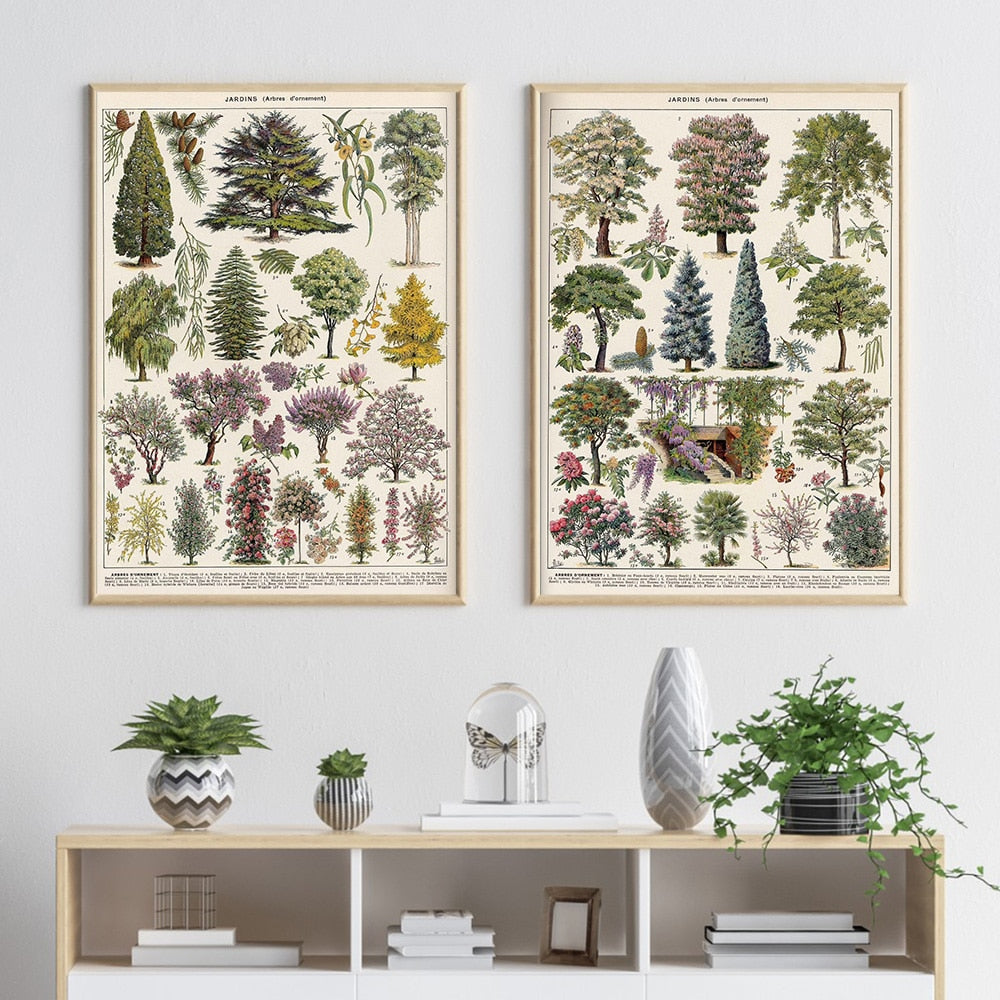 Vintage Botanical Prints Collection