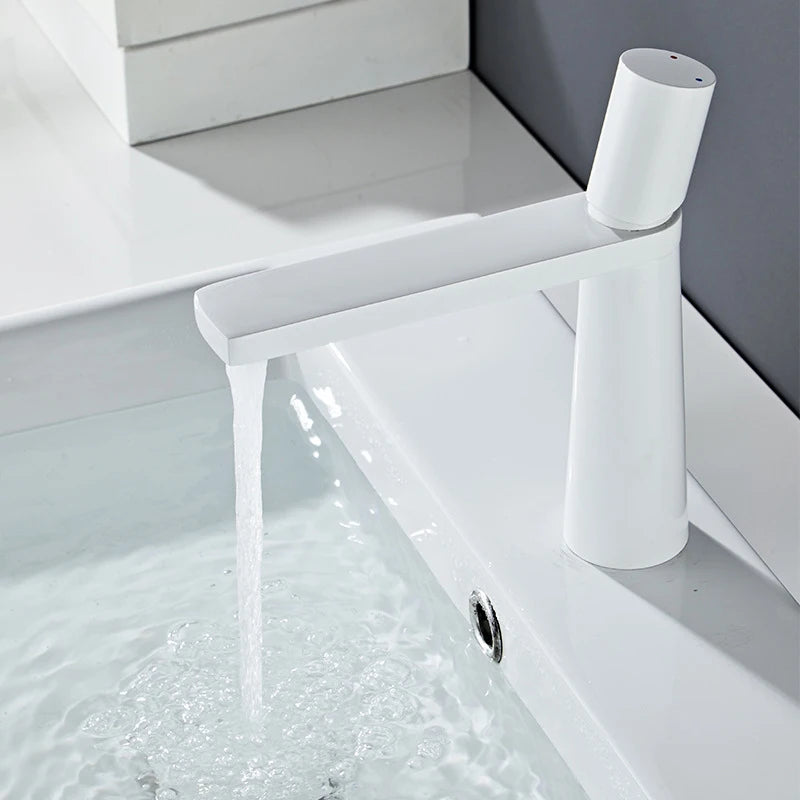 Elegant Stainless Steel Bathroom Faucet