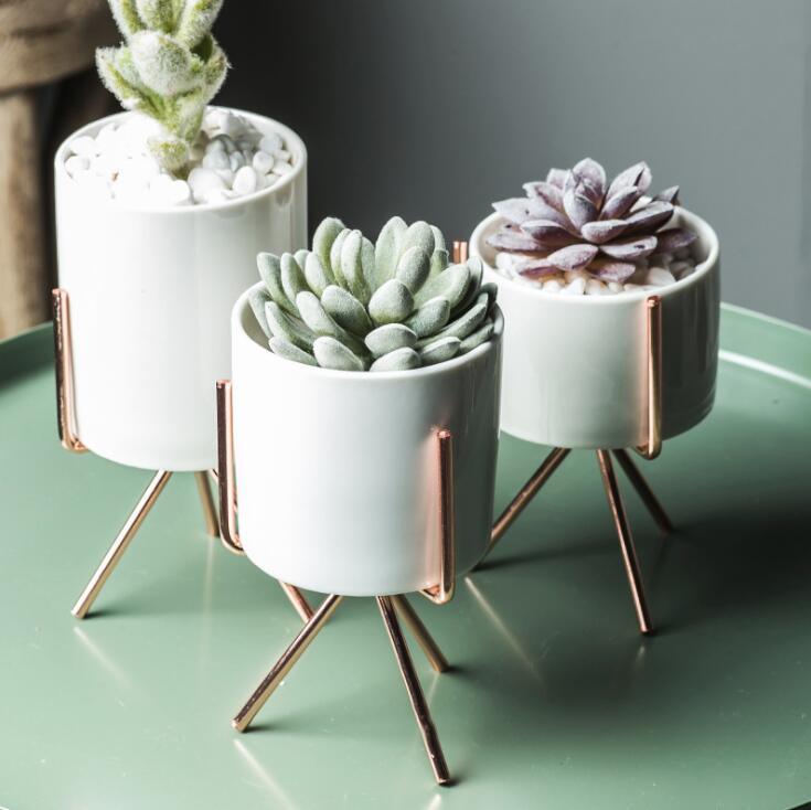 Ceramic Flower Planters with Modern Stand