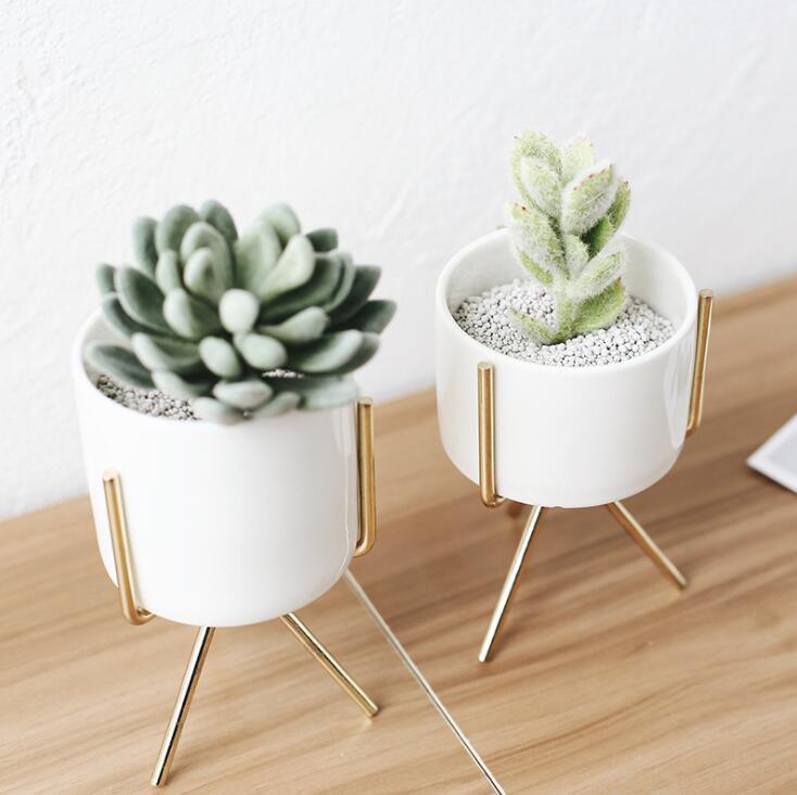 Ceramic Flower Planters with Modern Stand