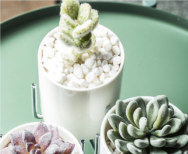 Ceramic Flower Planters with Modern Stand
