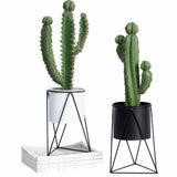 Circular Ceramic Planter & Stand