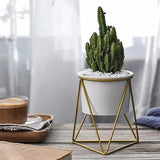 Nordic Geometric Rack