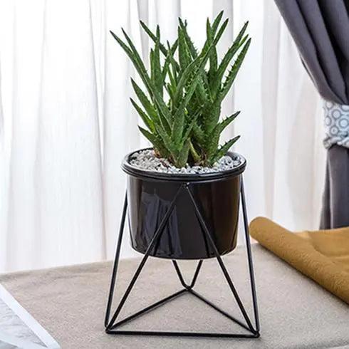 Nordic Geometric Rack