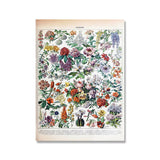 Vintage Botanical Prints Collection