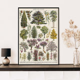 Vintage Botanical Prints Collection
