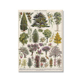 Vintage Botanical Prints Collection