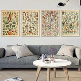 Vintage Botanical Prints Collection