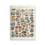 Vintage Botanical Prints Collection