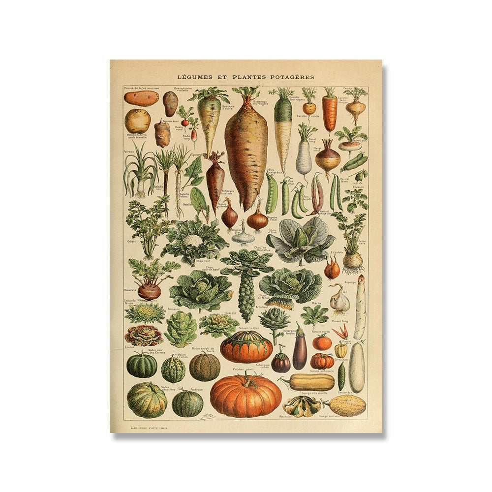 Vintage Botanical Prints Collection