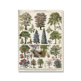 Vintage Botanical Prints Collection