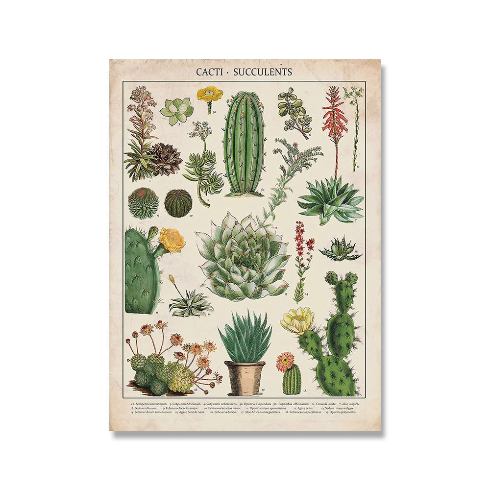 Vintage Botanical Prints Collection