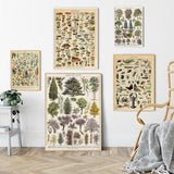 Vintage Botanical Prints Collection