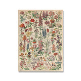 Vintage Botanical Prints Collection