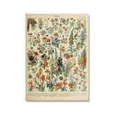 Vintage Botanical Prints Collection