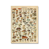 Vintage Botanical Prints Collection
