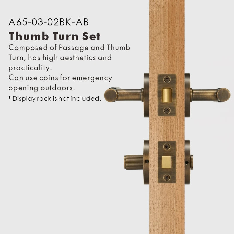 Elegant Brass Door Handle Set