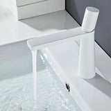 Elegant Stainless Steel Bathroom Faucet