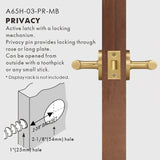Elegant Brass Door Handle Set
