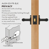 Elegant Brass Door Handle Set