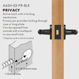 Elegant Bronze Door Handle Set