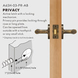 Elegant Brass Door Handle Set