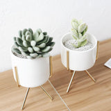Ceramic Flower Planters with Modern Stand