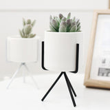 Ceramic Flower Planters with Modern Stand