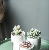 Ceramic Flower Planters with Modern Stand