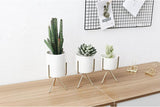 Ceramic Flower Planters with Modern Stand