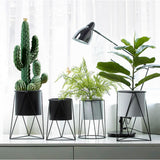 Circular Ceramic Planter & Stand