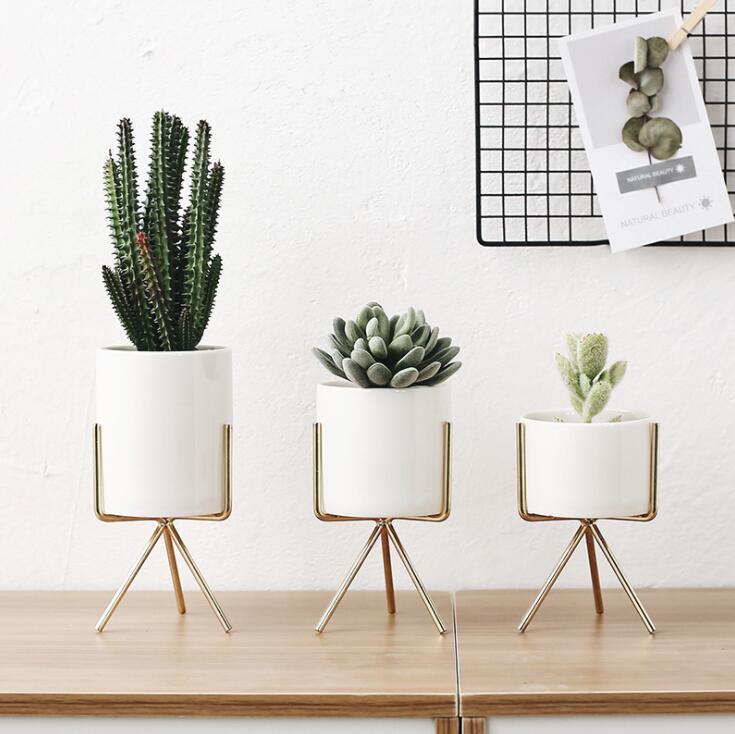 Ceramic Flower Planters with Modern Stand