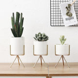 Ceramic Flower Planters with Modern Stand