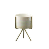 Ceramic Flower Planters with Modern Stand