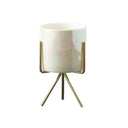 Ceramic Flower Planters with Modern Stand